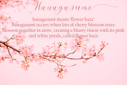 Cherry Blossom, a Script Font by Funtype (Thumbnail 2 of 9)