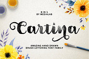 Cartina 8 in 1 script, a Handwritten Font by supfonts (Thumbnail 1 of 6)