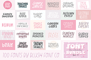 100 FONTS! Ultimate Font Bundle Vol3, a Script Font by Blush Font Co. (Thumbnail 4 of 4)
