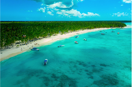 Tropical Caribbean beach from above, a Nature Photo by Nature and travel