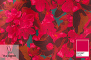 Viva Magenta - pattern collection, a Pattern Graphic by NNclipart (Thumbnail 18 of 20)