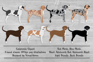 Catahoula Leopard Dog Illustration