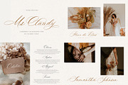 The Wedding Calligraphy Font Bundle, a Script Font by Calamar Studio (Thumbnail 3 of 18)