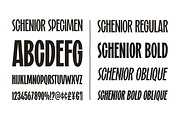 Schenior, a Font by A.Budianto (Thumbnail 6 of 6)