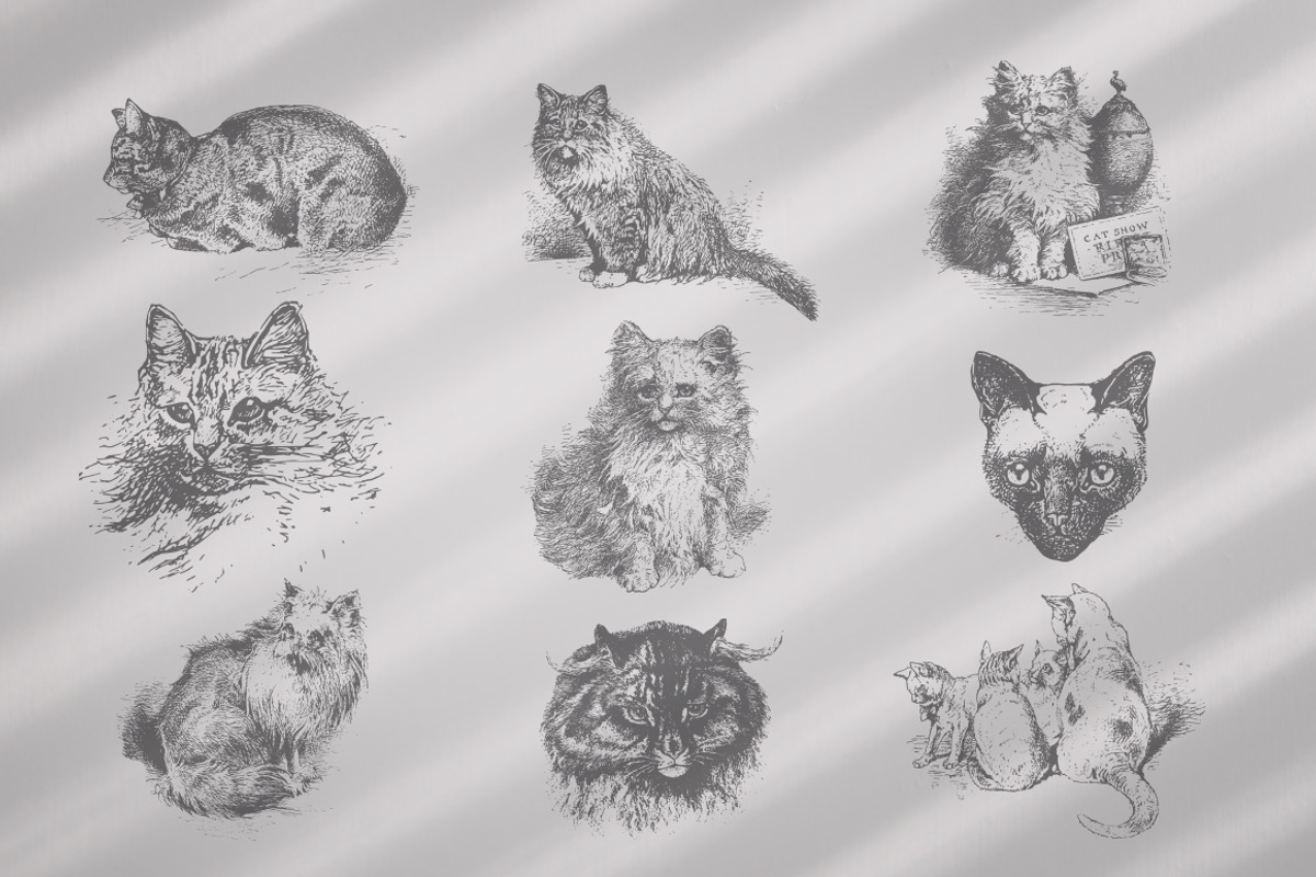 Vintage Bundle 2500+ Free Update, an Animal Illustration by Retro Machine (Photo 76 of 170)