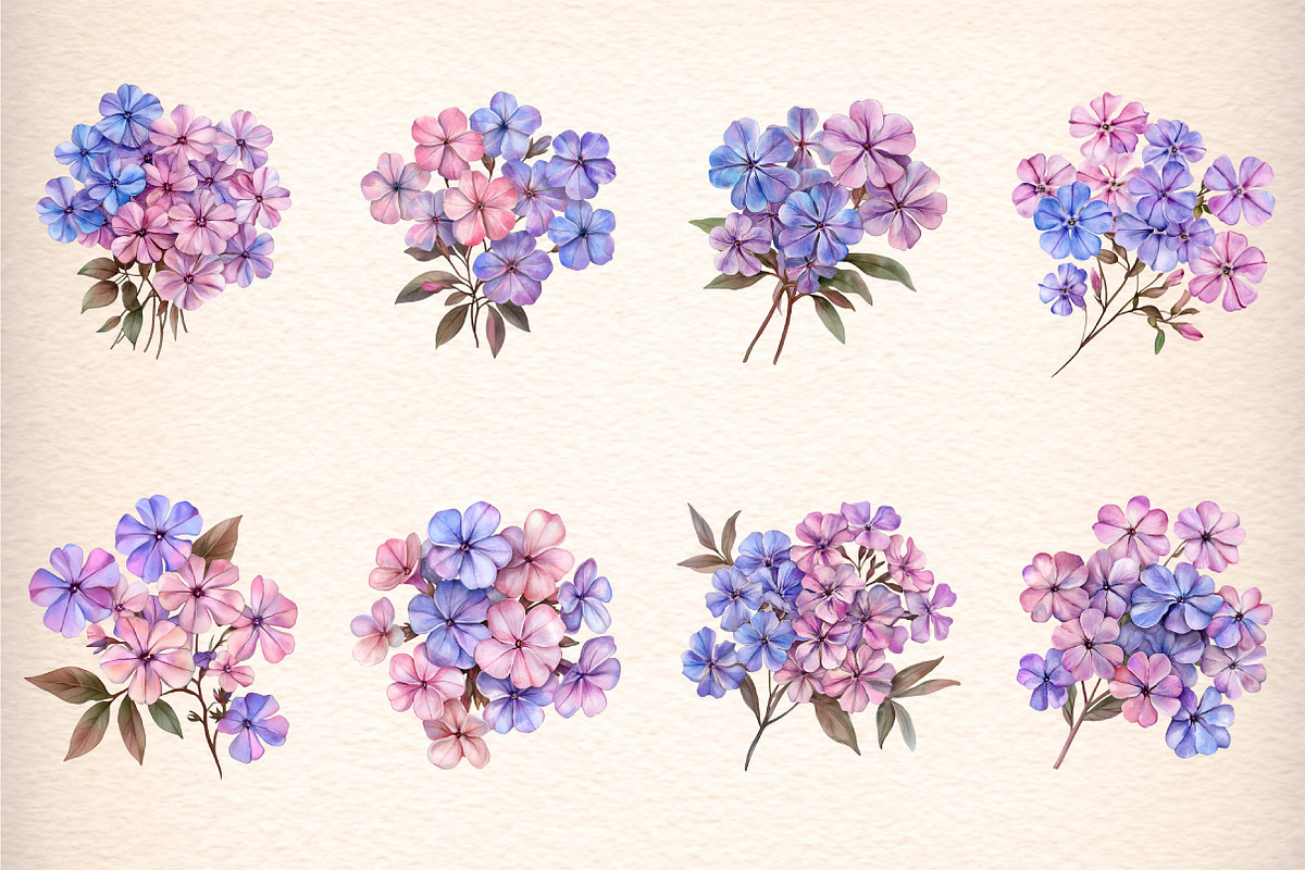 watercolor phlox cluster flowers, an Illustration by GatewayDesign (Photo 3 of 9)