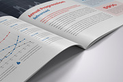 Annual Report, a Brochure Template by Pro-Gh (Thumbnail 8 of 14)