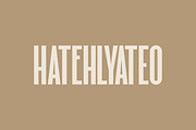 Reatfeh - Modern Condensed Typeface, a Font by Letterna (Thumbnail 4 of 4)
