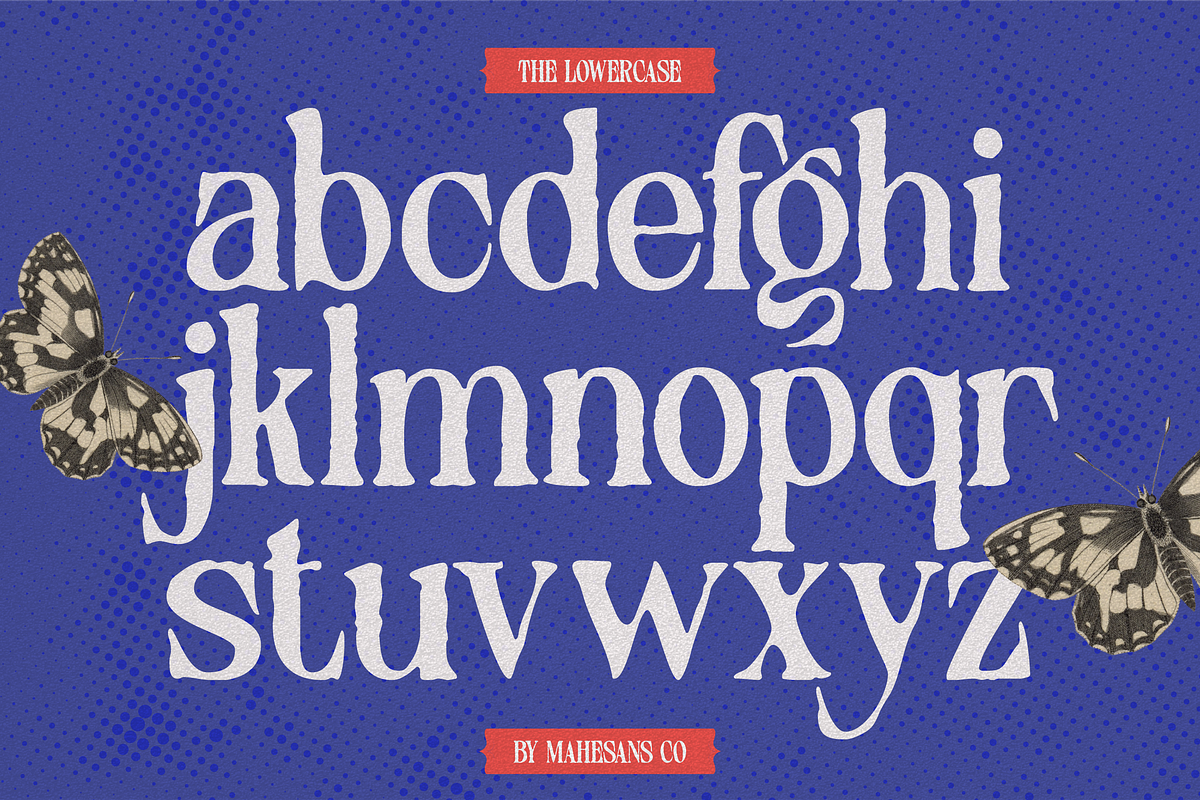 Distressed Seroze – Elegant Serif, a Serif Font by Mahesans Co (Photo 8 of 10)