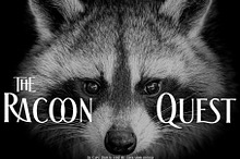 The Racoon Quest
