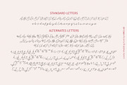 Lovely Wedding - Wedding Script Font, a Script Font by HIRO.std (Thumbnail 11 of 13)