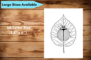 Cute Animal Coloring Pages for Kids, an Animal Illustration by LA Design (Thumbnail 10 of 10)