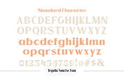 Tequila Sunrise, a Sans Serif Font by TypeClassHeroes (Thumbnail 14 of 15)
