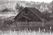 10 Matte B & W Landscape Drama, a Preset Add-On by Timeless Presets (Thumbnail 9 of 17)