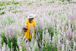 Girl in the field of flowering sage featuring magic, dress, and magenta