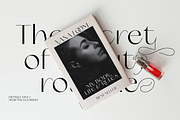 Erotique Sans - 10 fonts, a Sans Serif Font by Zetafonts (Thumbnail 6 of 18)