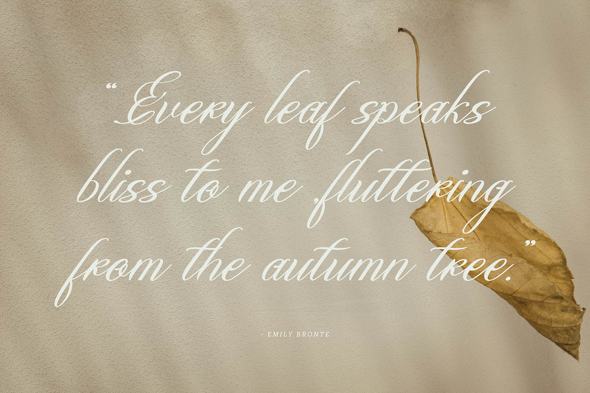 Olydemi | Beauty Script, a Script Font by Denustudios (Photo 8 of 13)