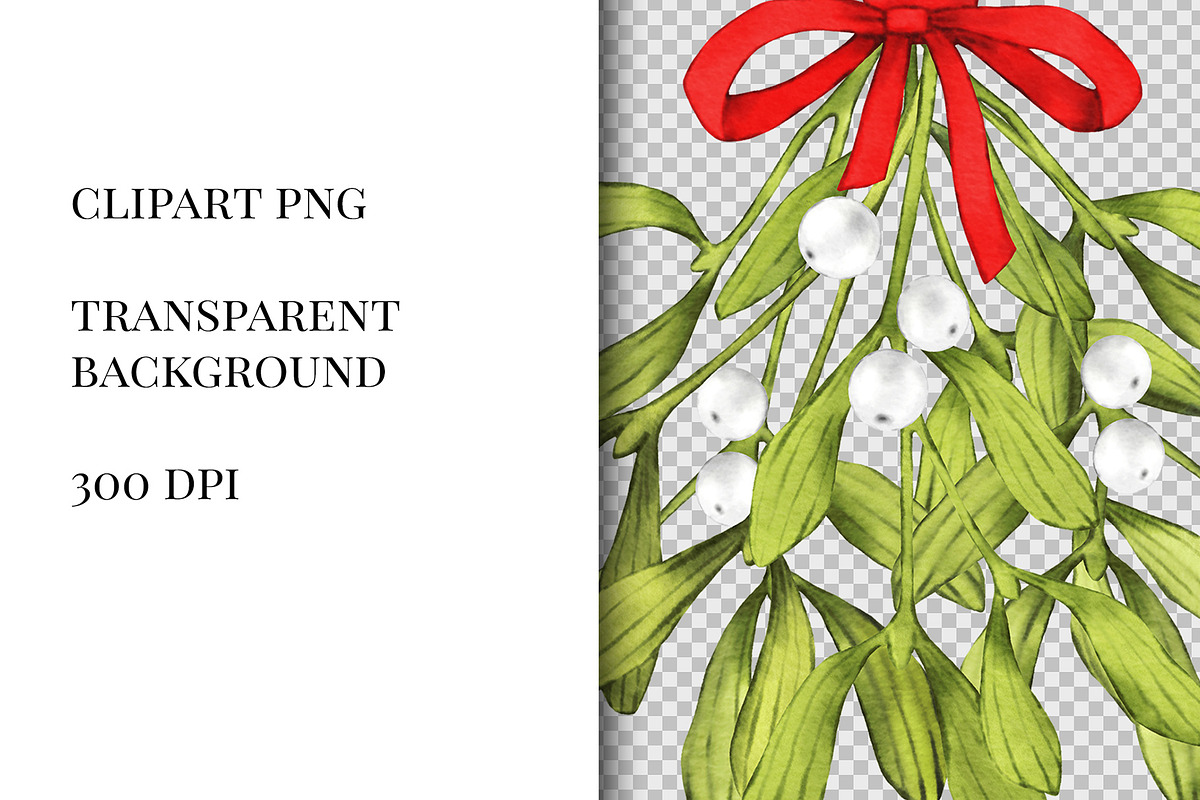 Mistletoe clipart watercolor png set, an Illustration by ARTVracovska (Photo 3 of 5)