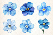 Forget Me Not Flower Bloom Clipart, an Illustration by Dream Creation (Thumbnail 2 of 5)