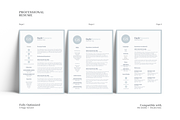 Creative and Professional Resume, a Resume Template by GraphicFlava (Thumbnail 3 of 8)