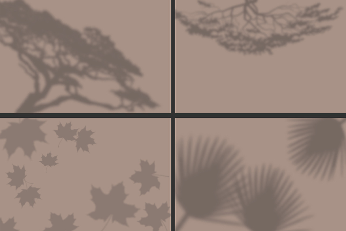 50 plants shadows, a Mockup by AnastasiyaOleynik (Photo 11 of 14)