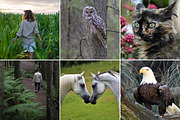 Dark & Moody Lightroom Presets, an Action Add-On by Signature Edits (Thumbnail 15 of 20)