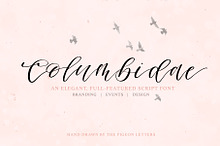 Columbidae Elegant Calligraphy Font