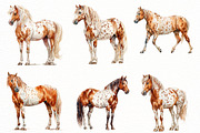 Spring Horse Clipart, an Illustration by Designworld (Thumbnail 4 of 7)