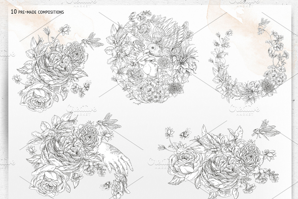 Regency flowers hand-drawn clipart, a Decorative Illustration by Depiano (Photo 5 of 10)