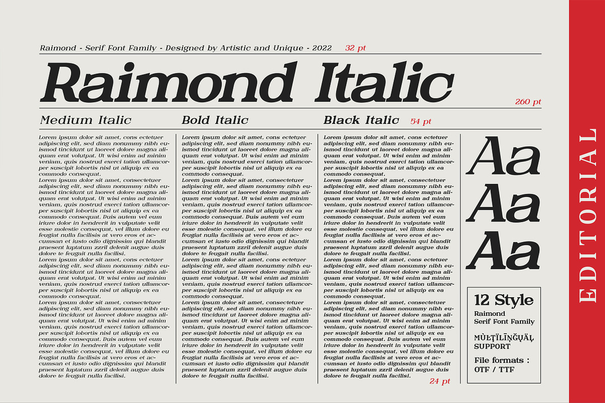 Raimond - Serif font family, a Serif Font by Artistic & Unique (Photo 6 of 15)