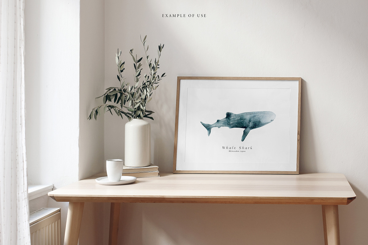Watercolor Sharks. Ocean animals set, an Animal Illustration by Diana Askarova Art (Photo 5 of 9)
