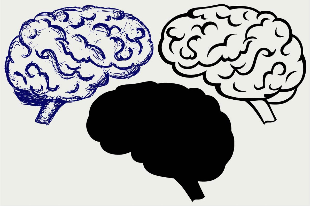 Human brain SVG, an Outline Icon by LineworkStock