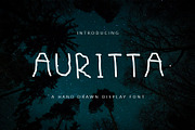 Auritta Font Display Sans, a Sans Serif Font by NadaNora (Thumbnail 1 of 5)