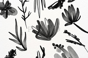 Black Inky Watercolour Flower, an Illustration by Pixafied (Thumbnail 3 of 3)