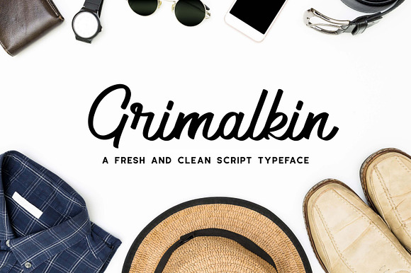 Grimalkin - Fresh And Clean Script preview 8