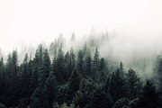 Modern Moody Photoshop Actions, an Action Add-On by Foto Rx Co. (Thumbnail 6 of 9)