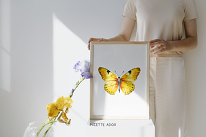 Watercolor Yellow Butterflies