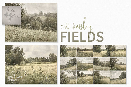 Cow Parsley Fields, a Decorative Illustration by rileyBgraphics