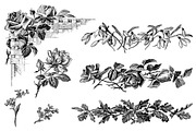 Procreate Botanical Collection, a Brush Add-On by AW Studios (Thumbnail 3 of 6)