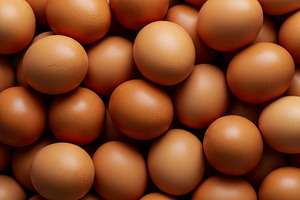A pile of fresh chicken eggs, a Food & Drink Photo by professorinc