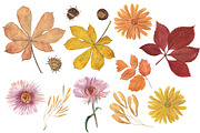 Autumn watercolor collection, an Illustration by ramika (Thumbnail 5 of 5)