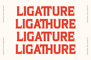 Homure New Display Serif Font, a Serif Font by Storytype Studio (Thumbnail 10 of 15)