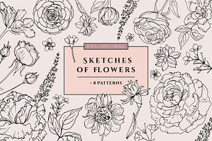 Sketches Of Flowers Line Vector