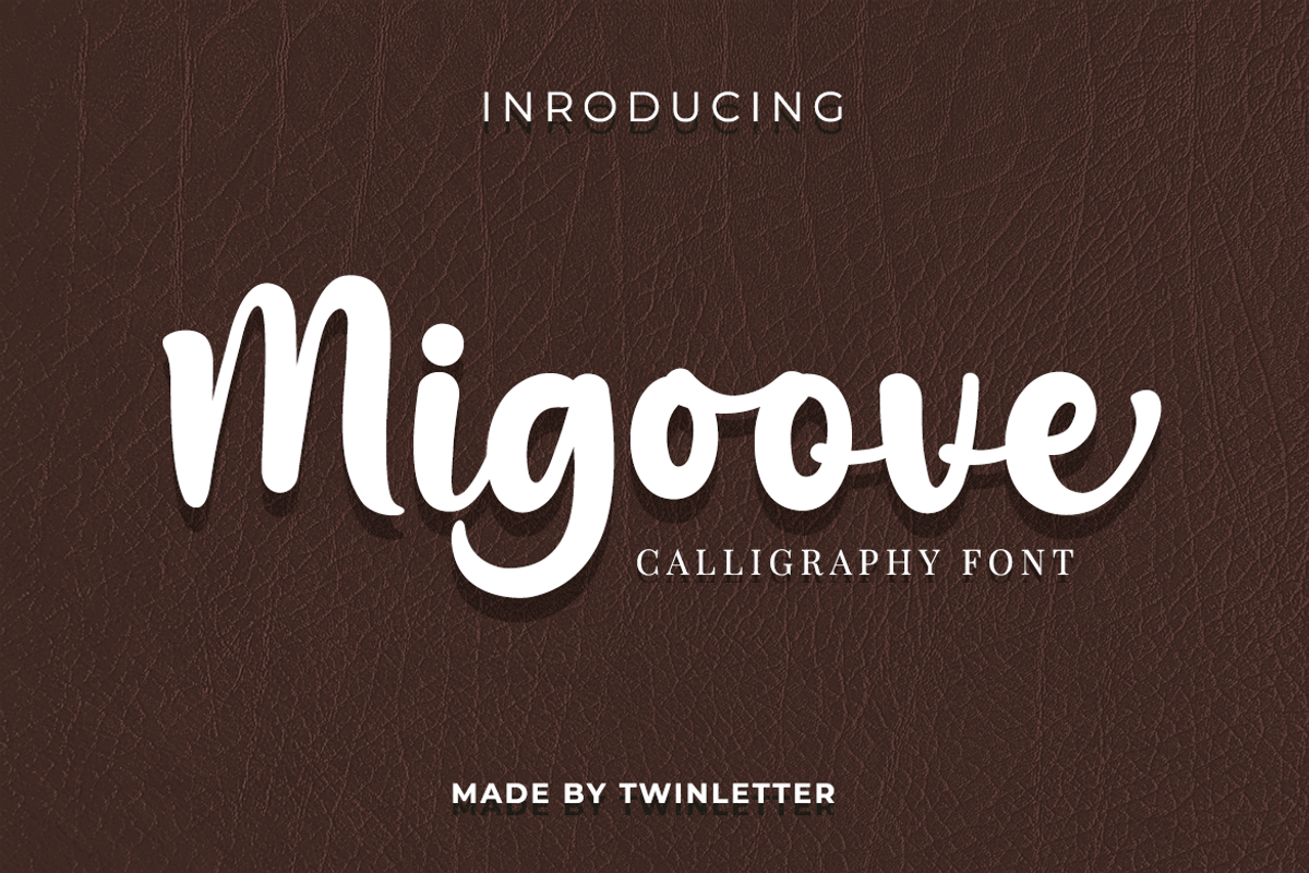 Migoove, a Script Font by twinstd (Photo 1 of 13)