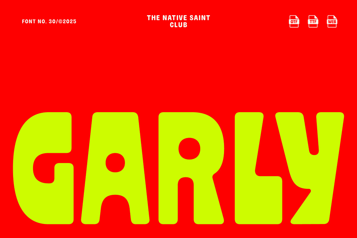 TNSC GARLY - Bold Display Typeface, a Sans Serif Font by The Native Saint Club (Photo 1 of 16)