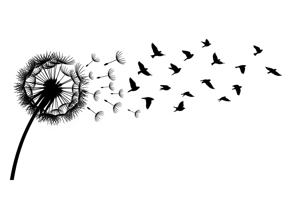 Dandelion Blow Silhouette Bundle, an Illustration by yasushie (Photo 17 of 31)