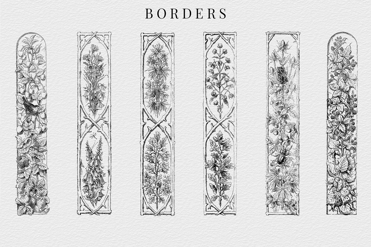 Procreate Vintage Nature Borders, a Brush Add-On by AW Studios (Photo 6 of 9)
