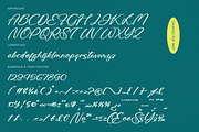 Amlerish Stagnate Bold Handwritten, a Script Font by stylishtype.co (Thumbnail 18 of 20)