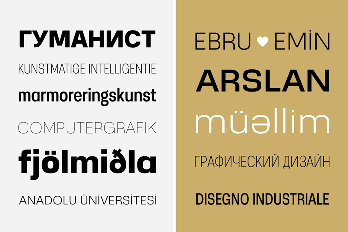 Ebru Sans Font Family, a Sans Serif Font by Ahmet Altun (Photo 3 of 7)