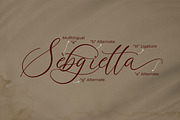 Violetta Frosteil, a Script Font by Goresan Studio (Thumbnail 14 of 15)